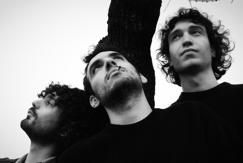 Andrea Belli, Franco Pietropaoli, Alessandro Belli Federazione